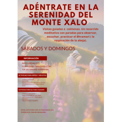 Actividad de meditación y...