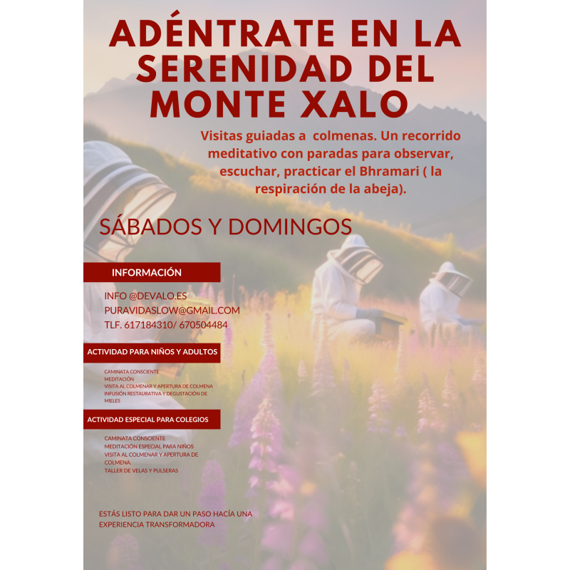 Actividad de meditación y visita a colmenas